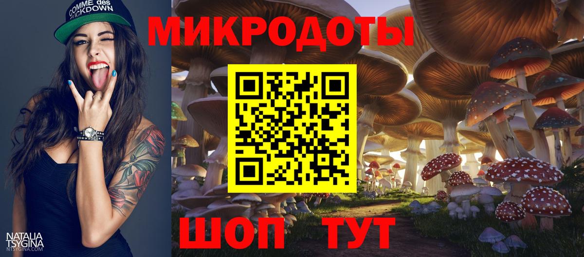 Омск  Псилоцибиновые грибы Psilocybine cubensis  Вход с VPN  Псилоцибиновые грибы прущие грибы 