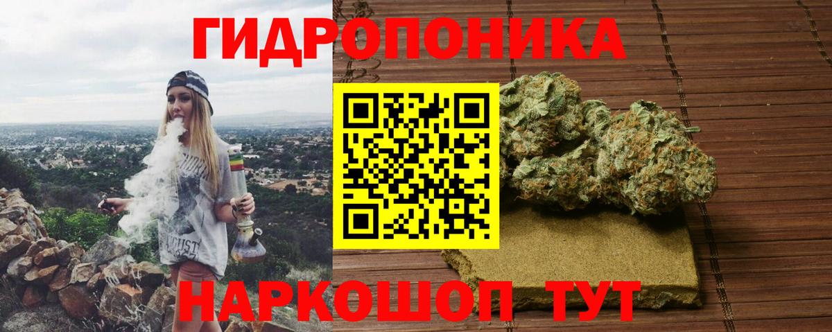 Конопля планчик Омск